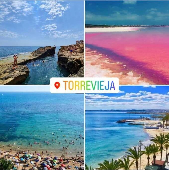 Monivo Near Center And * Torrevieja